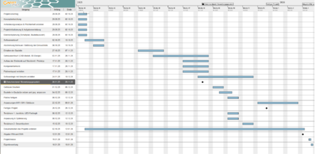 Abb. 01: Gantt Projektplan