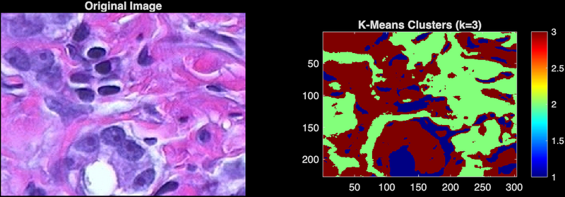 Datei:Segmentation Results.png