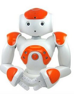 NAO Roboter