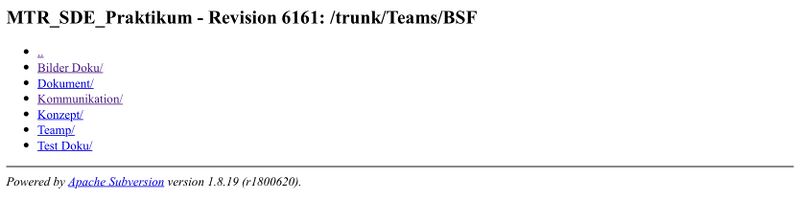 Datei:Team BSF in SVN nach.PNG